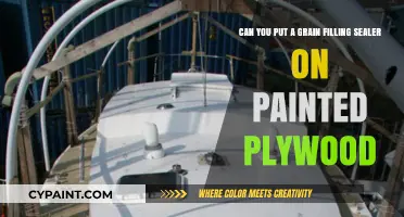 Sealing Painted Plywood: Grain Filler Application Tips and Best Practices