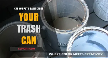 Can Paint Cans Go in Trash Cans? Disposal Tips and Tricks