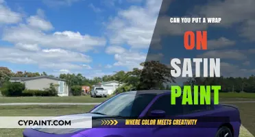 Satin Paint and Wraps: A Match Made in Heaven?