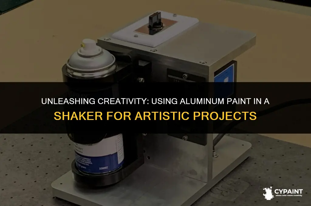 can you put aluminum paint in a shaker