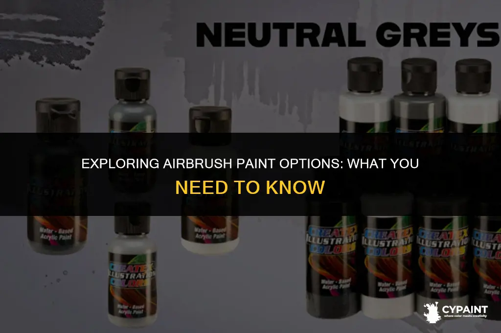 can you put any paint in an airburhs