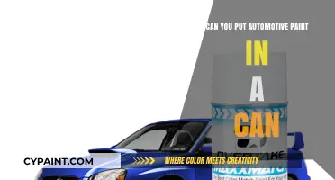Exploring the Possibilities: Can Automotive Paint Be Canned?
