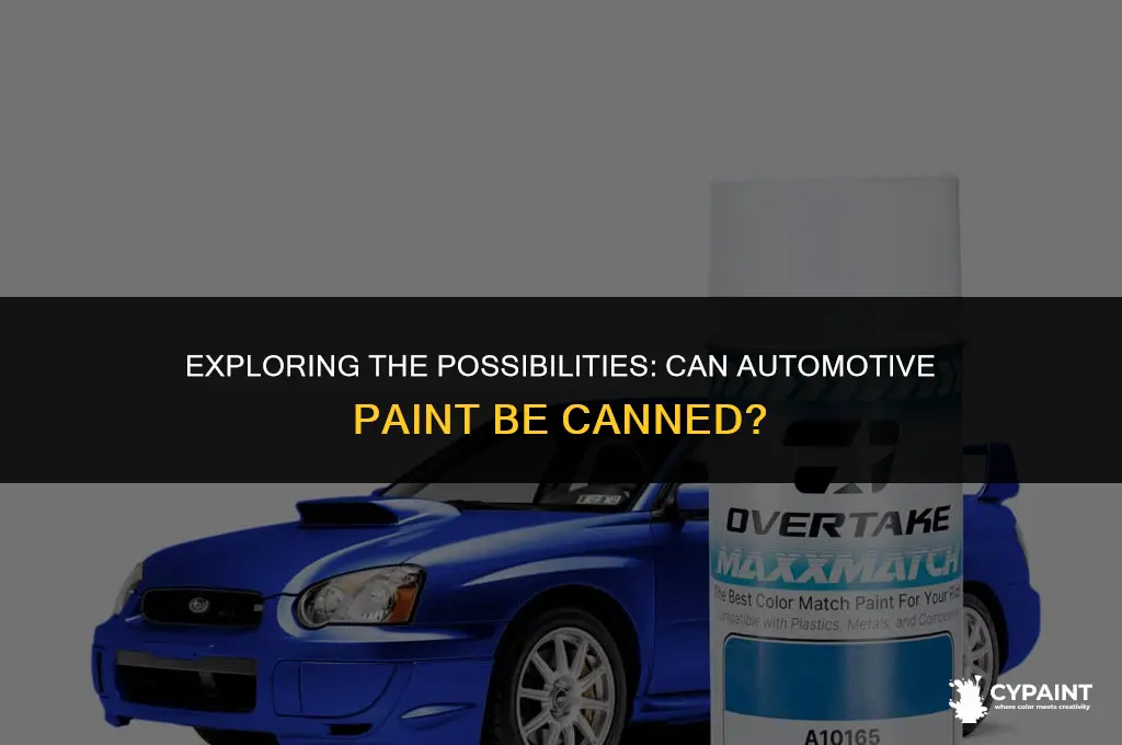 can you put automotive paint in a can