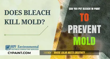 Bleach and Paint: Preventing Mold Growth