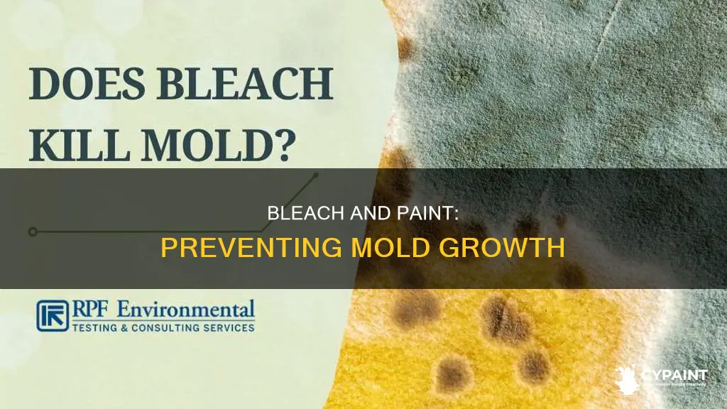 can you put bleach in paint to prevent mold