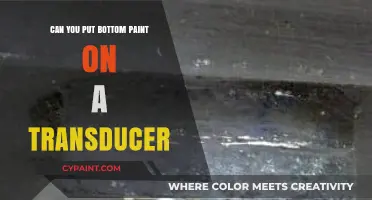 Unveiling the Truth: Bottom Paint and Transducers - A Comprehensive Guide