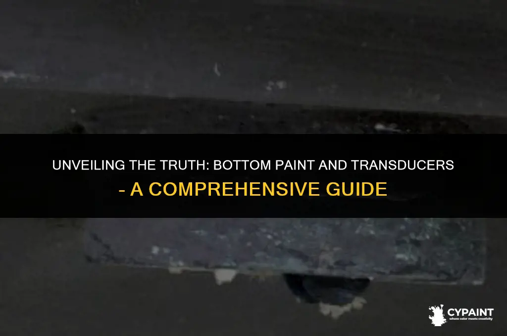 can you put bottom paint on a transducer