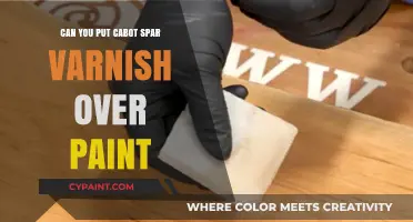 Revamping Your Paint Job: The Cabot Spar Varnish Touch