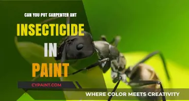 Combating Carpenter Ants: Insecticide in Paint - A Viable Solution?