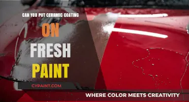 Fresh Paint and Ceramic Coating: A Match Made in Heaven?