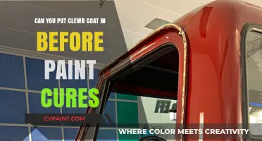 Clear Coat Application: Before or After Paint Cures?