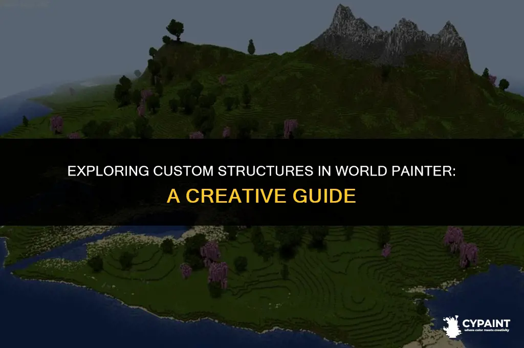 can you put custem structure in wotld painter