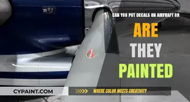 Decals vs. Paint: What Adorns Aircraft Exteriors?