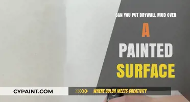 Drywall Mud Over Paint: Is It Possible?