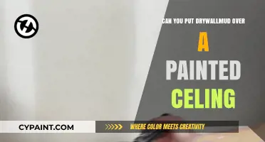 Revamping Your Ceiling: Drywall Mud Over Paint - A Comprehensive Guide
