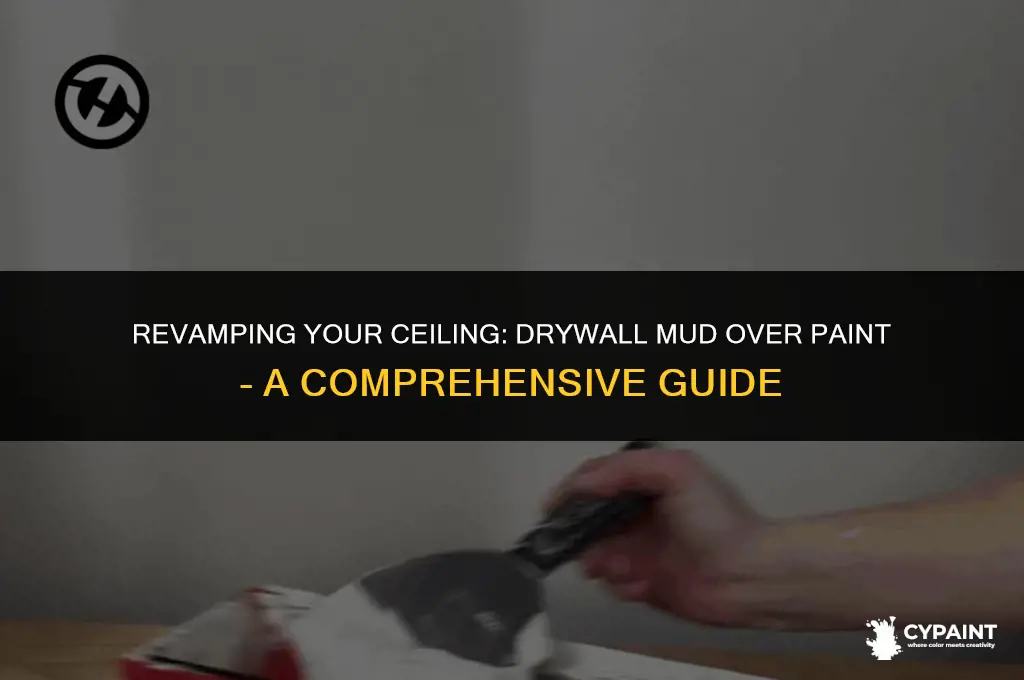 can you put drywallmud over a painted celing