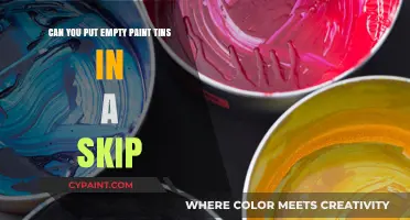Empty Paint Tins: Skip or Keep?