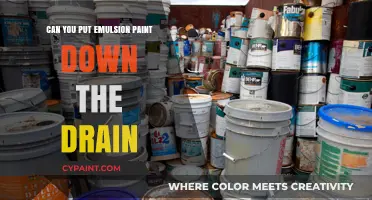 Safely Disposing of Emulsion Paint: Drain or Not to Drain?