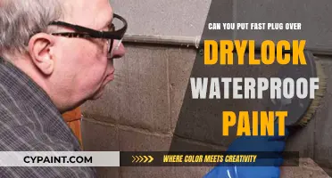 How to Properly Apply Fast Plug Over Drylok Paint?