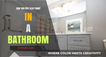 Revamping Your Bathroom: The Surprising Truth About Flat Paint