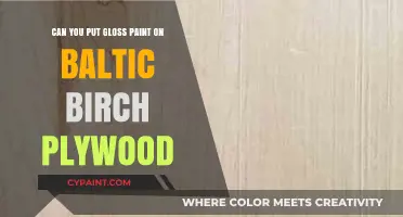 Gloss Paint on Baltic Birch: A Smart Choice?