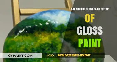 Can You Apply Gloss Paint Over Existing Gloss Paint?