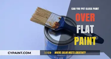 Revamping Your Walls: The Do's and Don'ts of Gloss Over Flat Paint