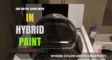 Exploring the Compatibility of Japanese Dryers with Hybrid Paint