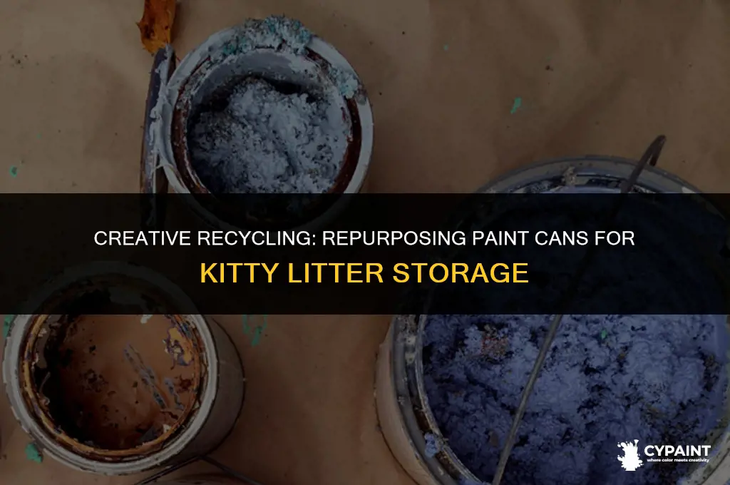 can you put kitty litter in paint cans