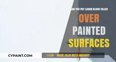 Loxon Block Filler: Paint Over or Start Fresh?