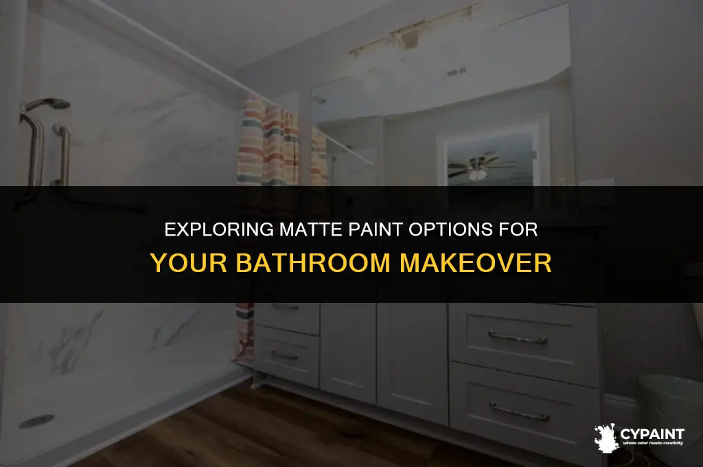 can you put matt paint in a bathroom