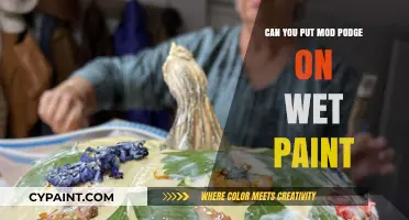 Crafting Clarity: Applying Mod Podge to Wet Paint - A Guide