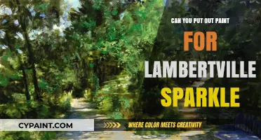 Revamping Lambertville Sparkle: A Guide to Perfect Paint Pairings