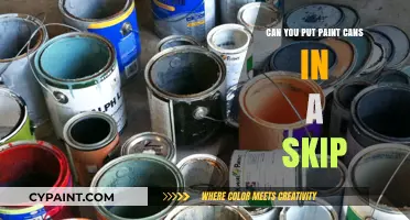 Eco-Friendly Disposal: Can You Put Paint Cans in a Skip?