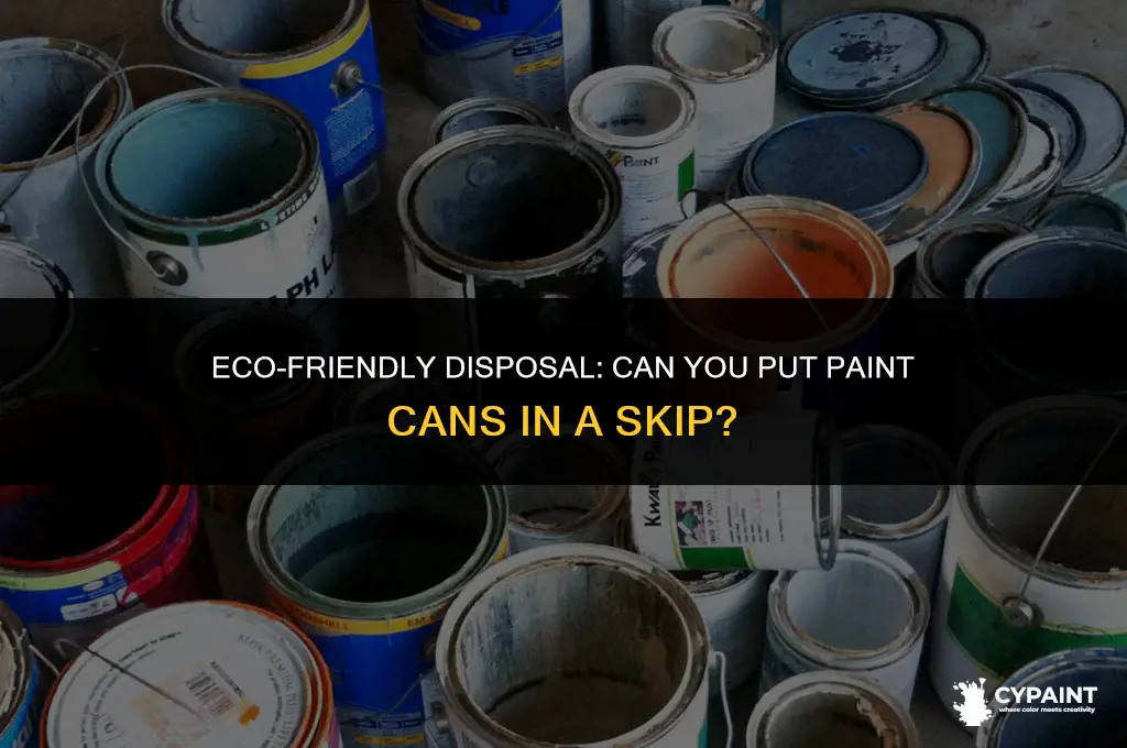 can you put paint cans in a skip