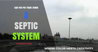 Septic System Maintenance: The Do's and Don'ts of Paint Disposal