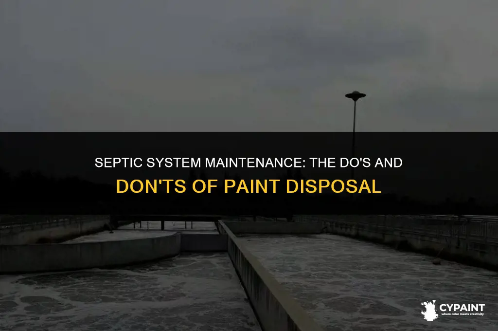 can you put paint down a septic system