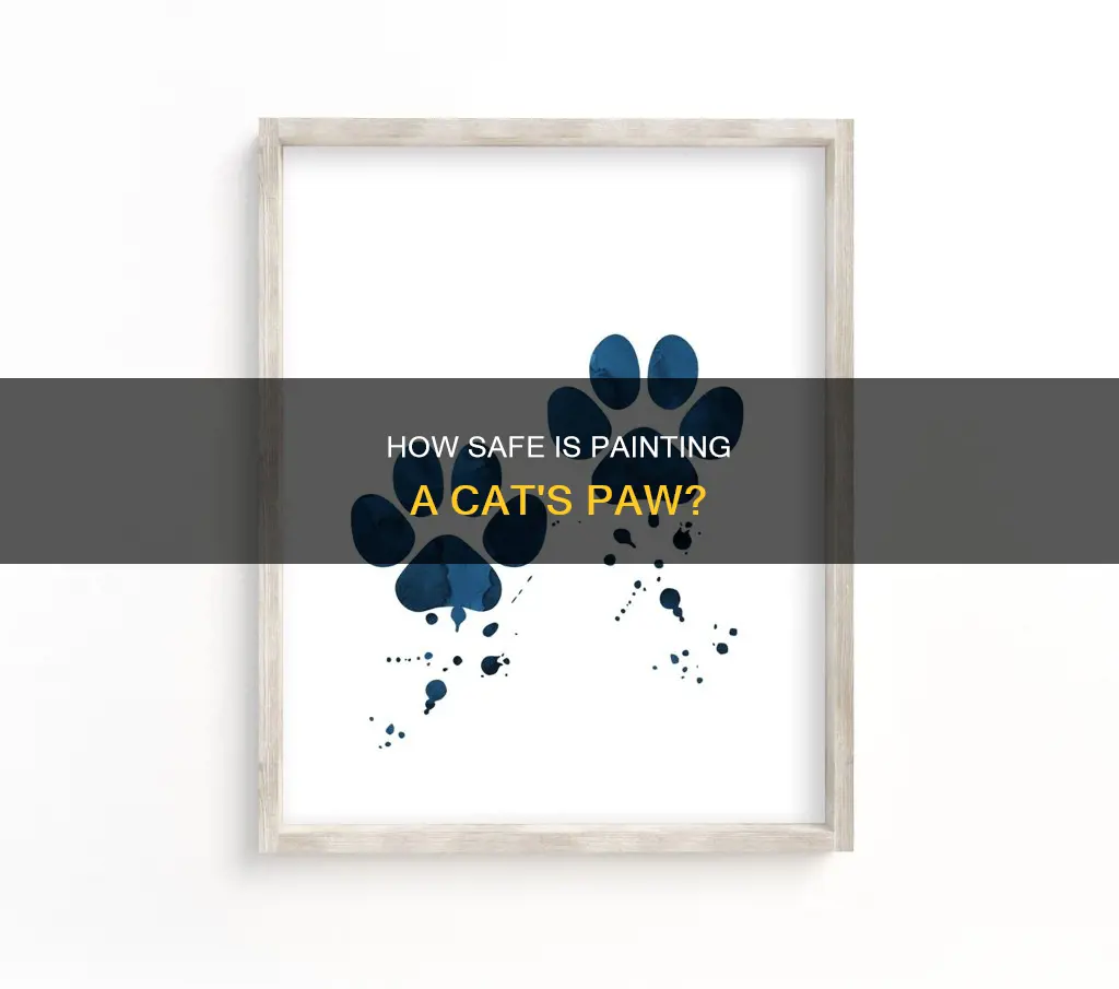 can you put paint on a cat
