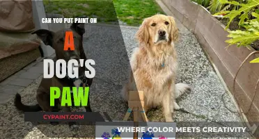 Is Painting Your Dog's Paw Safe?