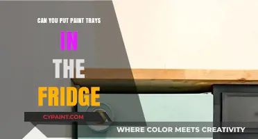 Chill Your Paint Trays: A Guide to Proper Storage