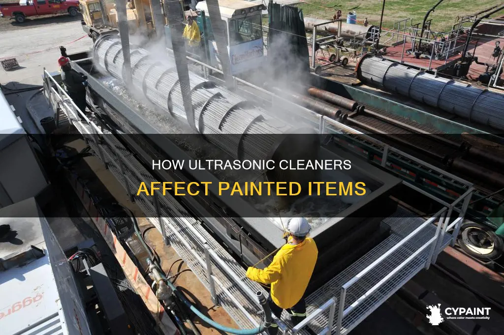 can you put painted items in an ultrasonic cleaner