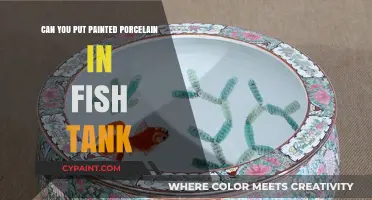Exploring the Safety of Painted Porcelain in Aquariums