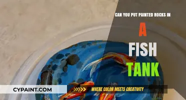 Painted Rocks in Fish Tanks: Safe or Not?