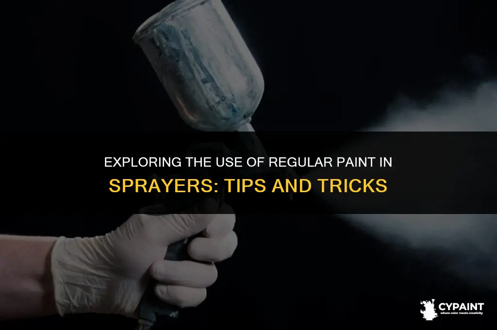 can you put regular paint in paint sprayers