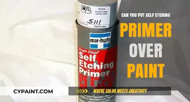 Revamping Your Ride: Self-Etching Primer Over Paint - A Guide
