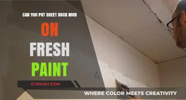 Applying Sheet Rock Mud: Fresh Paint Do's and Don'ts