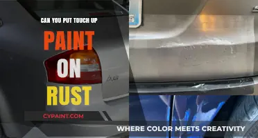 Reviving Your Ride: Touch-Up Paint for Rust Removal