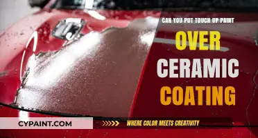 How to Repair Paint Over a Ceramic Coating