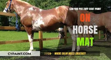 How to Use Tuff Coat Paint on Horse Mats