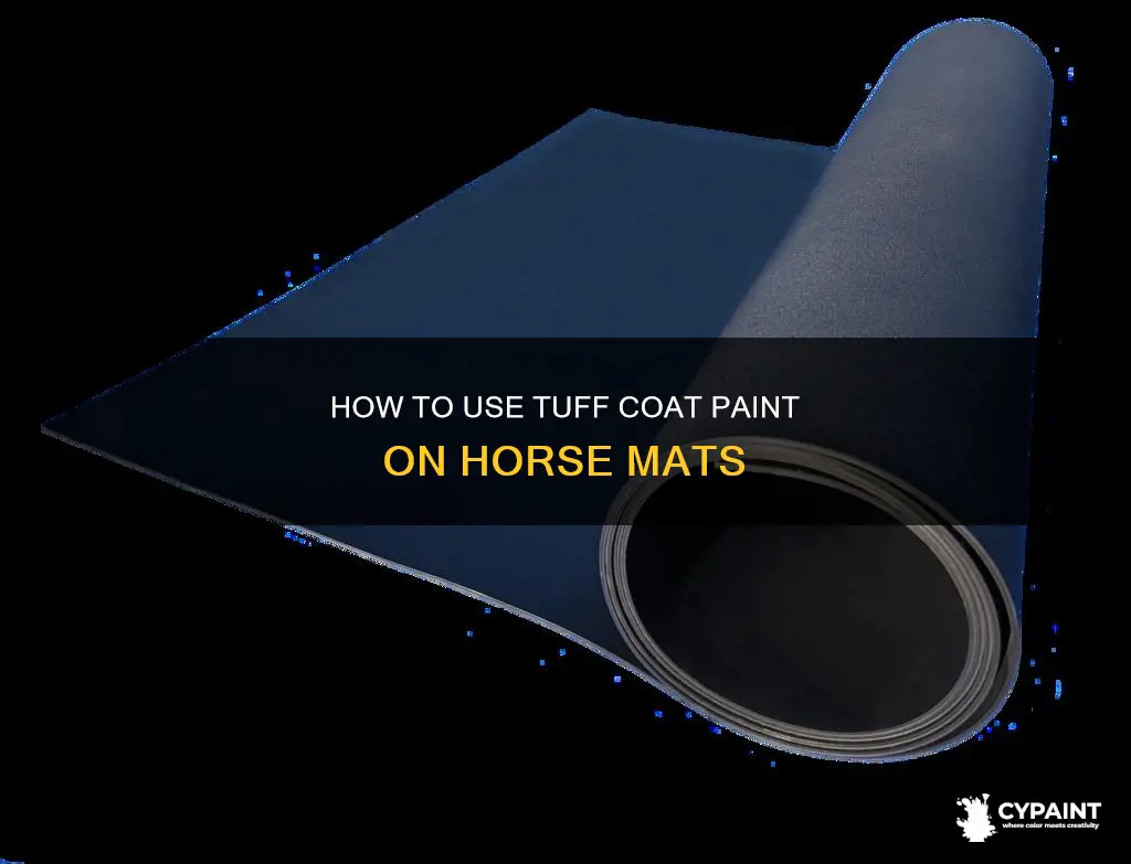 can you put tuff coat paint on horse mat